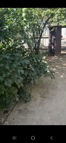 Ташкентская область, Ташкент, Мирзо-Улугбекский район