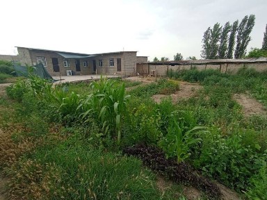 продается дом в городе гулистан
