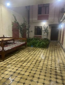 Кумарик (полевой) Саватчи