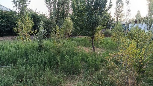 6 Sotix uchastka sotiladi