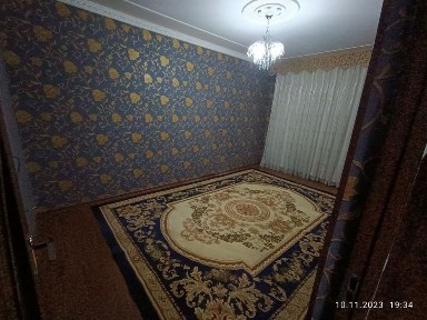 Qoraqamich 1/4 da dom sotiladi