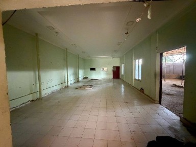 Ijaraga joy beriladi oʻrikzorda jiloy ni jiloy joy