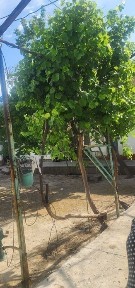 Уй сотилади Иштхон Митан, Навои 9.