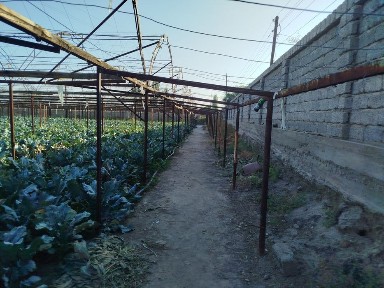 Участка сотилади 48 сот