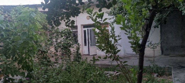 Uchastka xovli 6 sotx