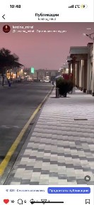 doʻkon ijaraga beriladi siyob bozor