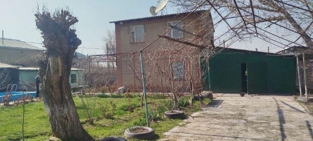 Ташкентская область, Нурафшан (Тойтепа)