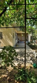 Ijaraga xovli bor 472 avtobus oxirida Chorsudan beruniyda yuradi