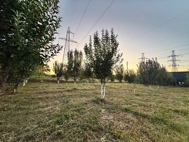 Продается дом. Кармана Ибн Сино 121а