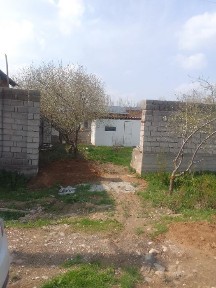 Ташкентская область, Янгибазар
