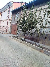 Ташкентская область, Ташкент, Шайхантахурский район