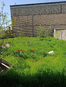 Участок Фаргона йули. 3 сот. ор-р Лип Моторс