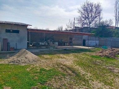 Ташкентская область, Янгибазар