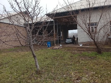 Ташкентская область, Ташморе