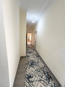 Motrid 2 xonali ijaraga beriladi