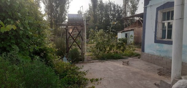 Hovli qorasuvga yaqin joyda Yangibozor bn CHirchiq platina oraligi