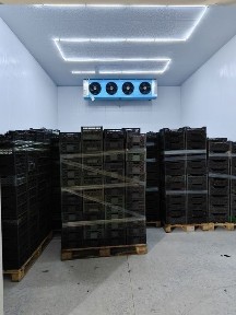 Аренда холодильных камер