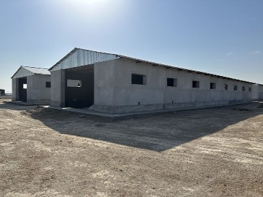 Чорвачилик молхонаси