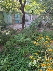 №4014. Продается Дом!