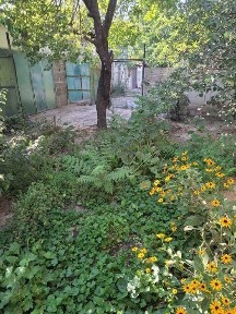 №4014. Продается Дом!