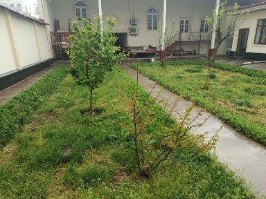 Uchastka sotiladi 6,8 sotix