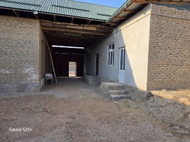 фарход савхозда уй сотилади