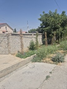Ташкентская область, Келес