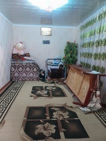 Zarafshon shahar Miraj 1 anorzor ko‘chasidan dala hovli sotiladi