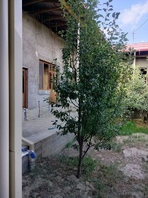 СРОЧНО ! 7 сотих ховли узимизники ЧАРХИНДА ! 89000$ САВДОСИ БОР !