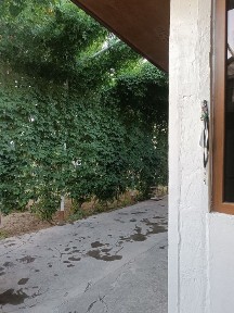 Ташкентская область, Янгиюль
