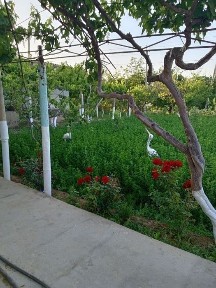 Сурхандарьинская область, Термез
