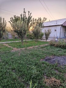 Хорезмская область, Чалыш