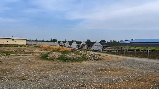 11 500 м² ва 3 940 м² майдонли 2 та нотурар объект сотилади