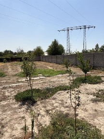 Ташкентская область, Ташкент, Сергелийский район
