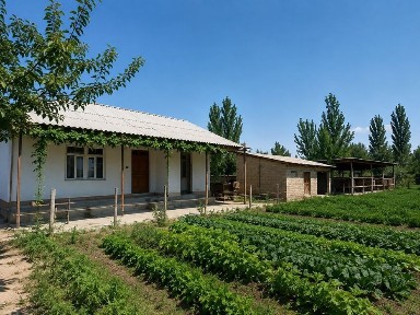 Yangiyer shahrida dala hovli sotiladi