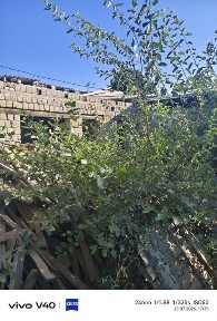 Участок хороший можно жить