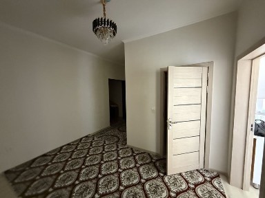Ташкентская область, Нурафшан (Тойтепа)
