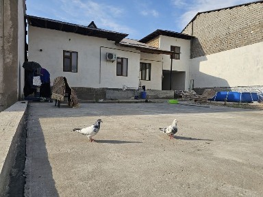 Хонобод 8 соток 7 комн