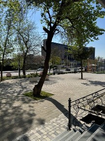 Сдаётся в аренду
