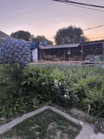 Уй сотилади аккураган