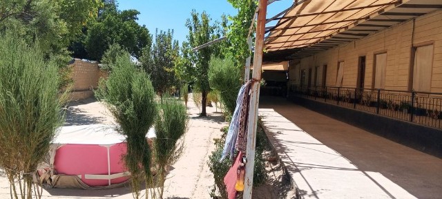 Xovli sotiladi 10 sotxli arzon narxta
