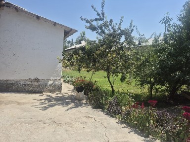 HOVLI SOTILADI ~7-8 sotix Manzil:Shahrisabz tumani Bog'ishamol mahalla