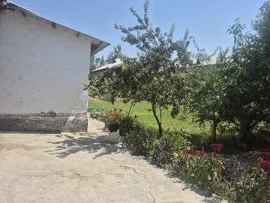 HOVLI SOTILADI ~7-8 sotix Manzil:Shahrisabz tumani Bog'ishamol mahalla