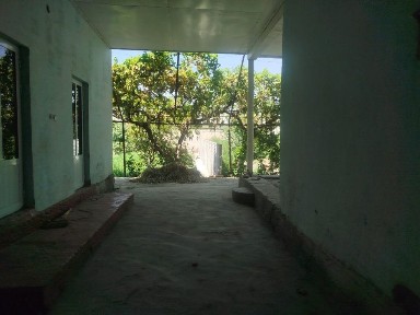 Xovli Shahar atrofida