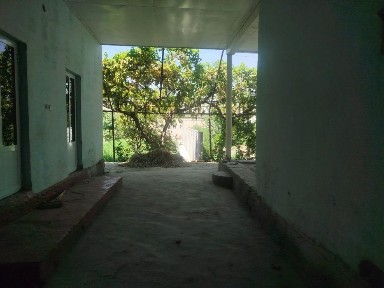 Xovli Shahar atrofida