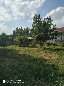 Участка своя прадаюу Янгибазаре.