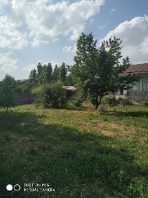 Ташкентская область, Янгибазар