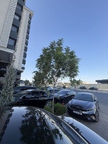 Kvartira Nurafshon yoli 9 etaj 3 xona 96 kv