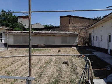 Профессорский городок 6 соток фасад 20 на 30 метров ор-р 249 мактаб