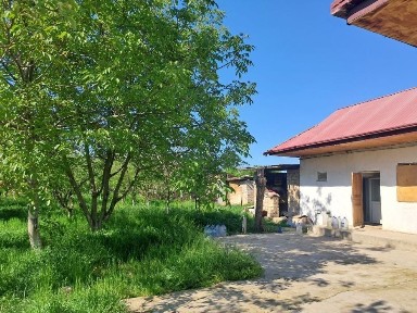 Uy ijaraga qoyiladi